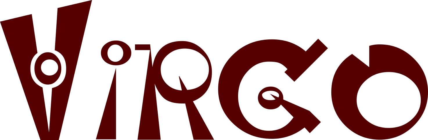 Virgo İnternet Hiz. Ltd. Şti.